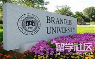 布兰迪斯大学.jpg