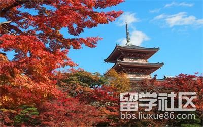 日本留学专业