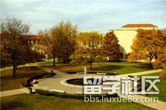 南佛罗里达大学