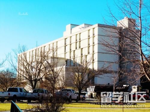 西东大学