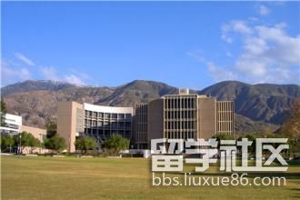 斯克兰顿大学